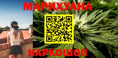 трава Сланцы