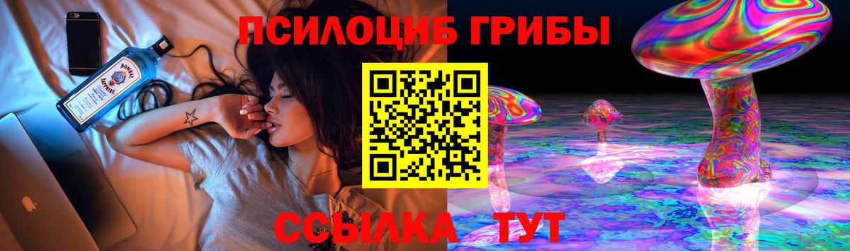 Псилоцибиновые грибы Psilocybine cubensis  Вход с VPN  Нерюнгри 